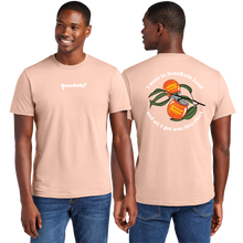 Load image into Gallery viewer, BuzzBallz Peach (Credit Card Only)